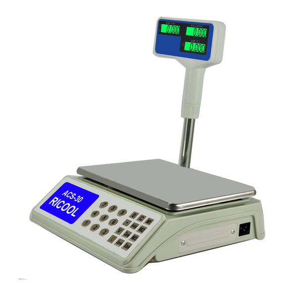ACS-RC09 price computing scale with pole